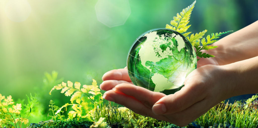 MSAI - UNIFICA EL DESARROLLO Y EL CUIDADO DEL MEDIO AMBIENTE